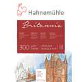 Hahnemühle | Britannia Watercolour Blocks — 300 gsm, 24 cm x 32 cm, 300 gsm, Cold Pressed