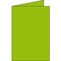 Clairefontaine 'Pollen' DIN Long Folding Cards, Mint