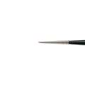 WINSOR & NEWTON™ | Series 7 Red Sable Brushes — Siberian Kolinsky, 2/0, 1.2