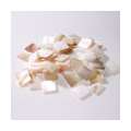 Mother-of-Pearl Mosaic Tiles — 50 g bags, 10 x 10 mm