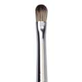 Isabey Memory Oil Brushes Series 6159, 6, 6.50