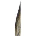 da Vinci Swordliner Brush Series 703, 1, 8.50