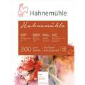 Hahnemuehle 300 Watercolour Paper Blocks, 24 cm x 32 cm, 300 gsm, block (glued on 4 sides), rough