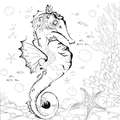 Tangle Canvases, Seahorse