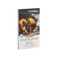 LYRA | REMBRANDT-POLYCOLOUR pencils — metal box sets, 12 pencils