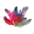Natural Feathers, Coloured guinea fowl feathers