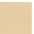ARCHES® | BFK Rives Velin paper — sheets / rolls, 56 cm x 76 cm, sheet, 280 gsm, 5. sand