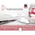 Hahnemühle | Expression Watercolour Paper — sheets & pads, 40 cm x 50 cm, cold pressed, 300 gsm, block (glued on 4 sides)