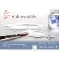 Hahnemühle | Harmony Watercolour Paper — 300 gsm, rough, A4 - 21 cm x 29.7 cm, 300 gsm, block (glued on 4 sides)