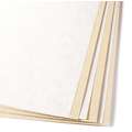 UART Premium Sanded Pastel Paper, 22,86 cm x 30,48 cm, 240, single