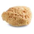 Royal & Langnickel® | Natural Sponges — coarse pored, L