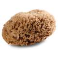 Royal & Langnickel® | Natural Sponges — coarse pored, XL