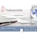 Hahnemühle | Harmony Watercolour Paper — 300 gsm, rough, 30 cm x 40 cm, 300 gsm, block (glued on 4 sides)