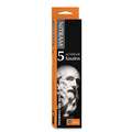 NITRAM™ | Académie Charcoal — packs of 5, HB