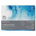 WINSOR & NEWTON™ | professional™ watercolour paper — 100% cotton, 23 x 31 cm - cold press, block of 20 sheets, 300 gsm, 2. block