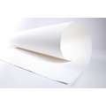 WINSOR & NEWTON™ | professional™ watercolour paper — 100% cotton, 56 x 76 cm - cold press, sheet, 300 gsm, 1. single sheet