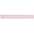 GRAPHOPLEX | Japanese Cutting Rulers — transparent, 50 cm