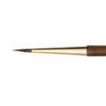 Isabey Watercolour Round Brushes Series 6221, size 5