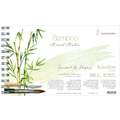 Hahnemuehle Bamboo Paper, 15.3 cm x 25 cm, 15.3 x 25cm, spiral pad of 15 sheets, 265 gsm, spiral pad
