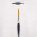 ROYAL TALENS | van Gogh Oil & Acrylic Brushes Series 295 — round brushes, 24, 8.1