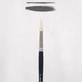 ROYAL TALENS | van Gogh Oil & Acrylic Brushes Series 211 — round brushes, 12, 8.1