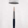 ROYAL TALENS | van Gogh Oil & Acrylic Brushes Series 211 — round brushes, 16, 11.2