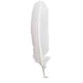 HERBIN | Goose Feather Quills, white, 21cm