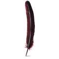 HERBIN | Goose Feather Quills, bordeaux, 21cm