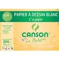 Canson "C" à grain Drawing Paper Packs, 21 cm x 29.7 cm, pack of 12, satin, 224 gsm