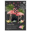 morepic-2