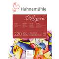 Hahnemuehle D'Aqua Watercolour Blocks, 36 cm x 48 cm, 220 gsm, rough, 36cmx48cm / 220gsm