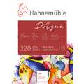 Hahnemuehle D'Aqua Watercolour Blocks, 30 cm x 40 cm, 220 gsm, rough, 30cmx40cm / 220gsm