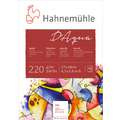 Hahnemuehle D'Aqua Watercolour Blocks, 17 cm x 24 cm, 220 gsm, rough, 17cmx24cm / 220gsm