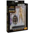 Graph'it | Miss & Mister Graph'it  Figurines 2.0 — packs, Miss Graph'It