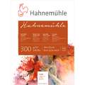 Hahnemuehle 300 Watercolour Paper Blocks, 24 cm x 32 cm, 300 gsm, block (glued on 4 sides), hot pressed (smooth)