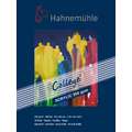 Hahnemuehle College Acrylic Pads, 30 cm x 40 cm, 300 gsm, cold pressed, 10 sheet pad (one side bound)