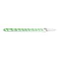 J. Herbin Glass Pens, green