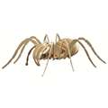 PEBARO | Wooden Construction Kits — various designs, Tarantula, 40 x 35 cm, 28 parts
