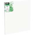 Liquitex® | PROFESSIONAL SUSTAIN™ Recycled Canvases — individual, 80 cm x 80 cm, square, 1. traditional depth