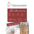 Hahnemühle | Britannia Watercolour Pads — Limited Edition, 12 cm x 17 cm, 300 gsm, pad (bound on one side)