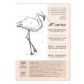 Leniar® | Sketching Pads — 60 gsm, A5 - 14.8 cm x 21 cm, 80 gsm, textured