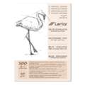 Leniar® | Sketching Pads — 60 gsm, A4 - 21 cm x 29.7 cm, 80 gsm, textured