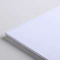 CANSON® | Bristol Board Pads — 250 gsm, A3, pad (bound on one side), cold pressed