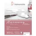 Hahnemühle | Harmony Watercolour paper — 300 gsm, cold pressed, 8 cm x 10,5 cm, 300 gsm, pad (bound on one side)