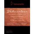 Hahnemühle | The Collection Watercolour paper — 100% cotton, 8 cm x 10,5 cm, 300 gsm, block of 10 sheets, cold pressed