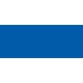 BIC® | Marking™ ONYX® 1481 — permanent markers, blue