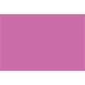 effect® | Neon Picture Frames profile 2500 — wooden, 21 cm x 29.7 cm, pink