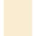 folia® |  Coloured Photo Card packs — 300 gsm, 50 cm x 70cm, beige