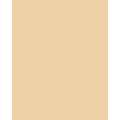 folia® |  Coloured Photo Card packs — 300 gsm, 50 cm x 70cm, chamois