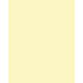 folia® |  Coloured Photo Card packs — 300 gsm, 50 cm x 70cm, straw yellow